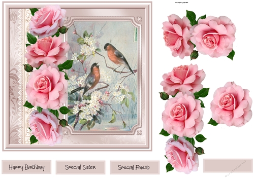 Pink rose and birds 7x7