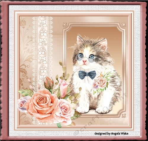 Cat and the roses 7x7