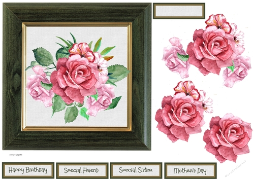 Birthday rose 7x7