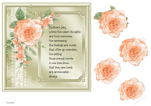 Mothers day rose 7x7