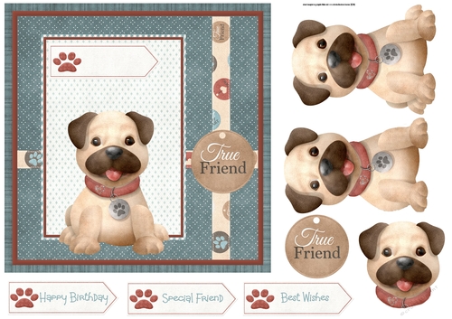 Oliver the puppy 7x7