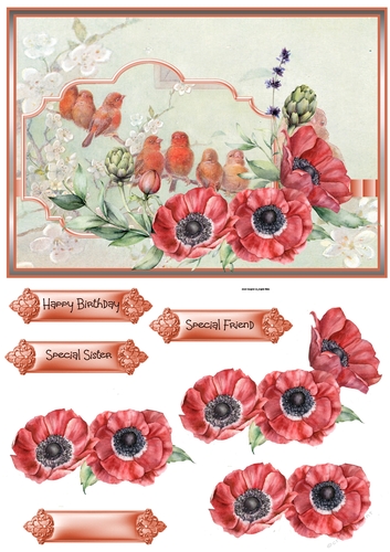 Birds and Anemone flowers A5 card