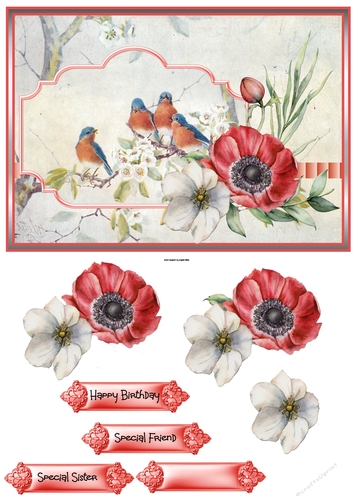 birds and anemone 7x7 card