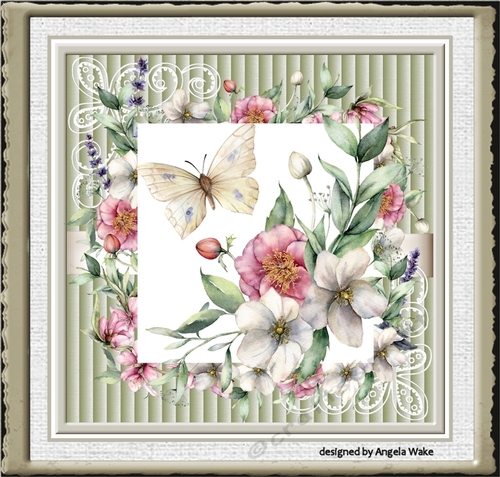 Hedge rose 7x7 card
