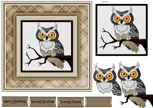 Night owl 7x7 card