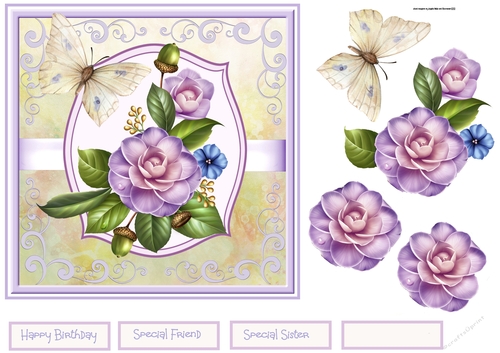 Camelia in bloom 7x7 card
