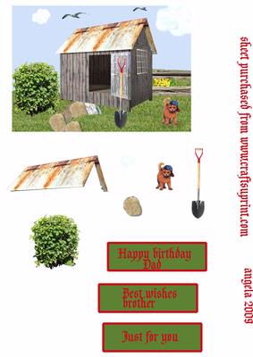 Old Shed