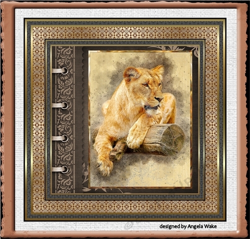 Cat of Africa 7x7 card 
