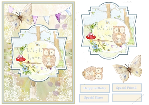 Owl and the butterflyA5 card