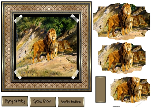 the lion king of the jungle 7x7 card