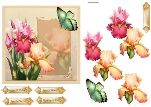 Iris and butterfly 6x6 card