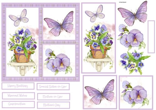 Pansy garden 6x6 card