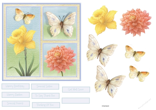 Daffodil, dahlia and butterfly 6x6 card