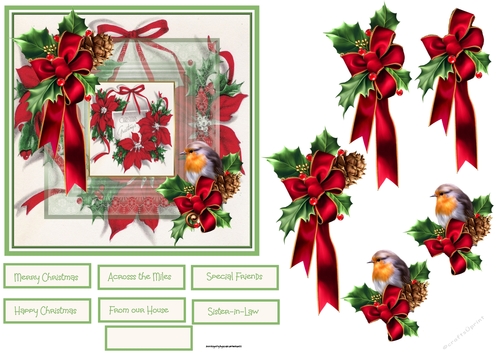 Red poinsettia and robin 6x6 card