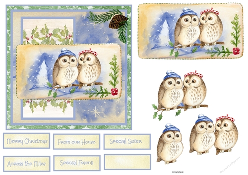Christmas owls 6x6 card