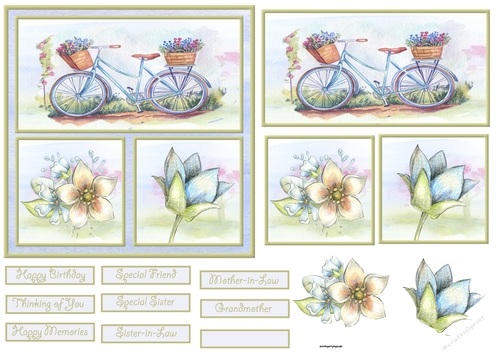 Bicycle and flowers 6x6 card