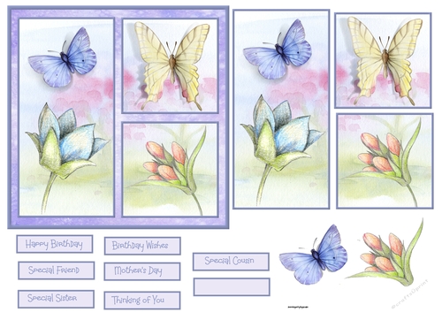 Butterfly and flowers 6x6 card 