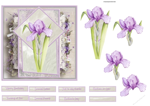 Mauve iris 6x6 card