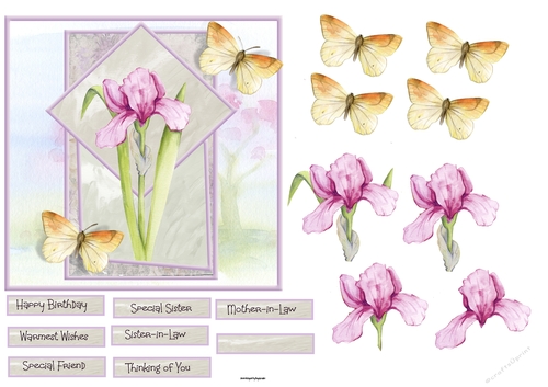 Pink Iris and butterfly 6x6 card