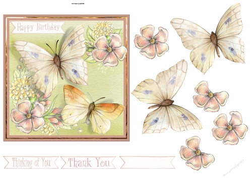 Butterfly and flowers 6x6 card
