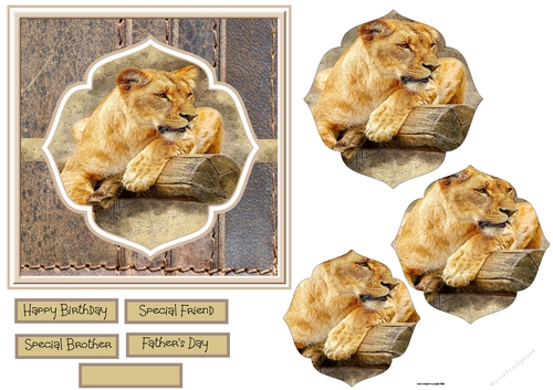 The lioness 6x6 card