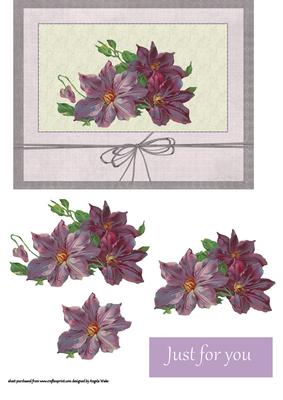 Clematis Purple Dream