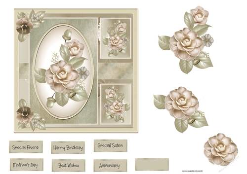 Blush Camelia 6x6 card