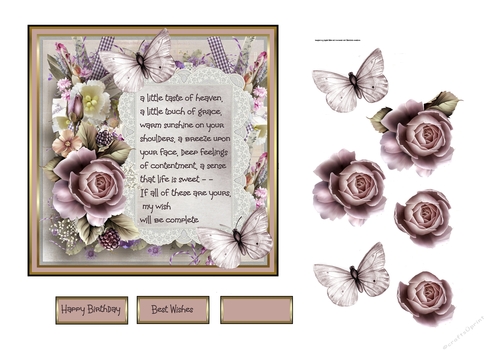 English rose and butterfly 6x6