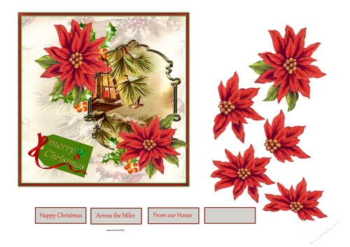 Red poinsettia and lantern 6x6