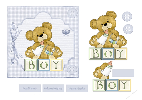 Baby boy bear 6x6