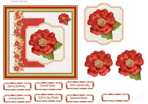Poppy 6x6