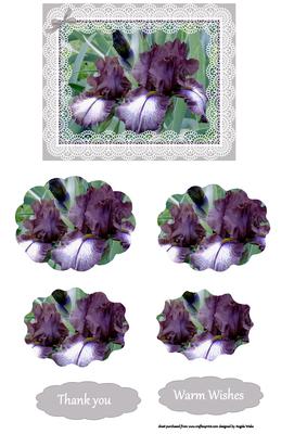 Bearded Iris in Lace Frame