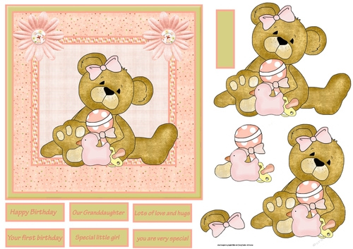 Baby girl bear