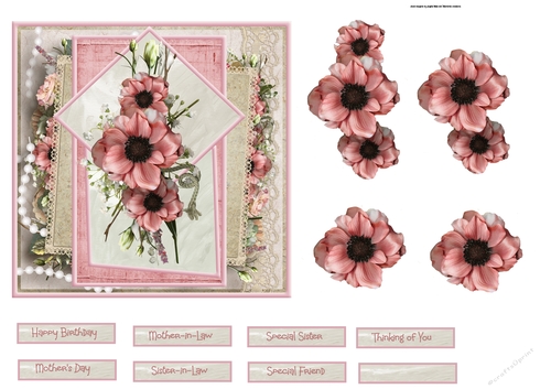 Pink Anemones 6x6