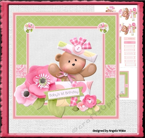Teddy girl first birthday 7x7