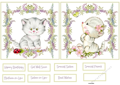 Cat toppers one