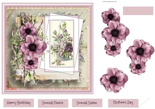 Anemones 7x7
