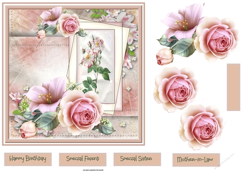 Pink rose 7x7
