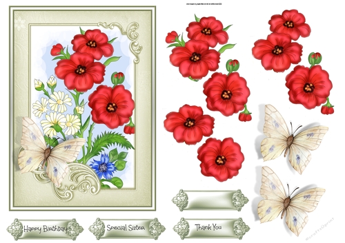 Wild flowers 5x7