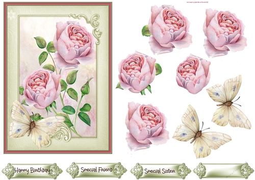 Blush rose and butterfly 5x7