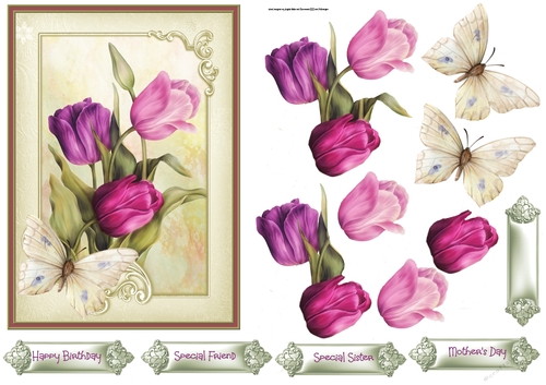 Pink Tulips 5x7