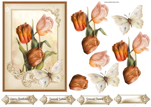 Orange tulips 5x7