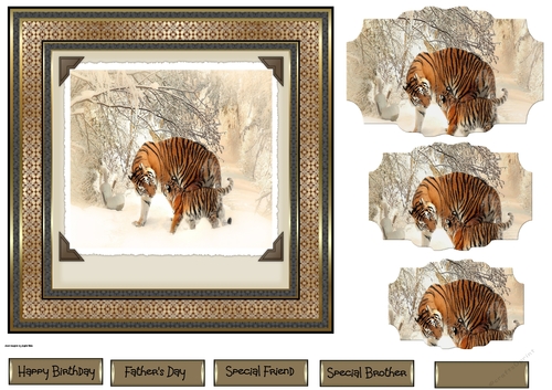 Tigers in the snow 7x7