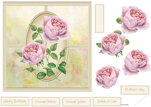 Rose blooms 7x7