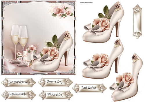 Wedding shoe 6x6