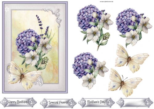 Blue Hydrangea 5x7