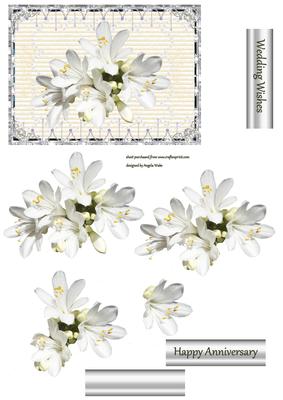 Cluster of Freesias