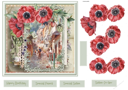 Clovelly and poppies 7x7