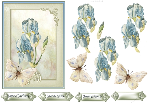 Blue iris and butterfly 5x7