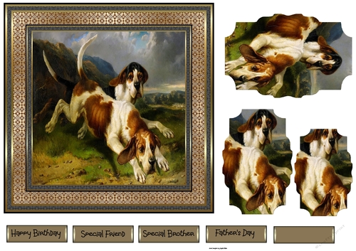 Hunting dogs 7x7